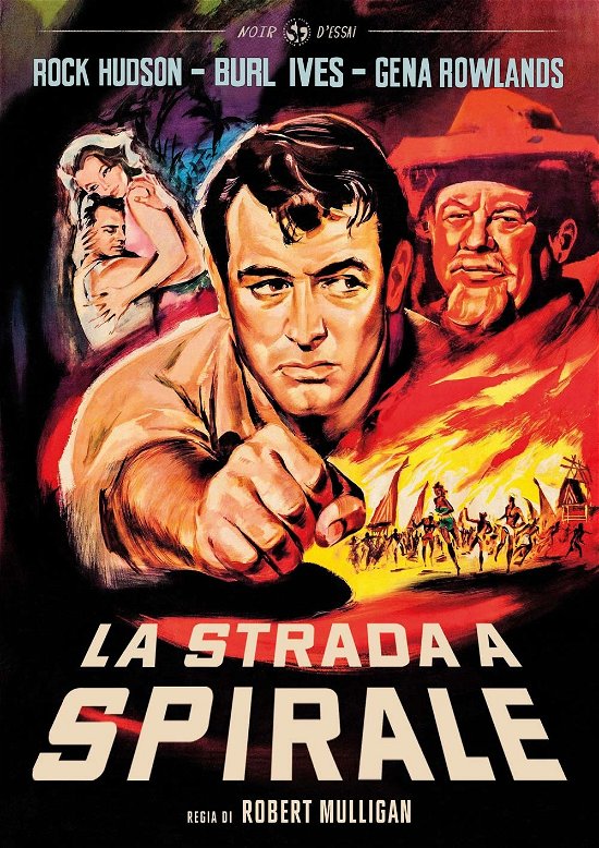 Cover for Strada a Spirale (La) · La Strada A Spirale (DVD) (2020)