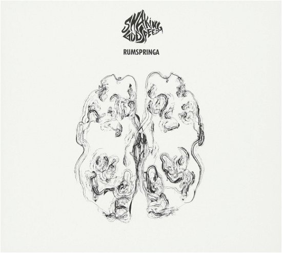 Cover for Shaking Godspeed · Rumspringa (CD) (2016)