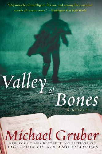 Cover for Michael Gruber · Valley of Bones: a Novel (Pocketbok) [Reprint edition] (2009)