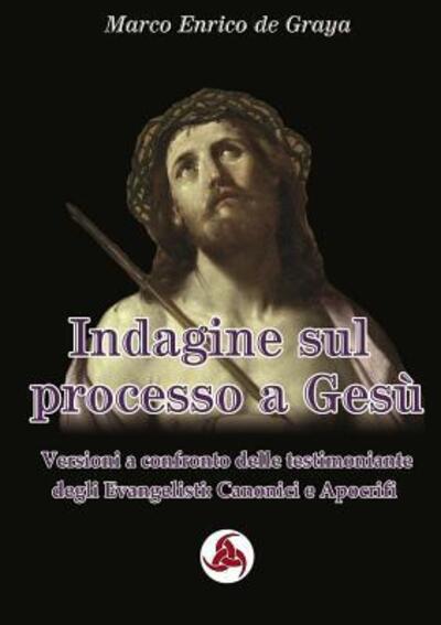 Cover for Marco Enrico de Graya · Indagine sul processo a Gesu (Paperback Book) (2018)