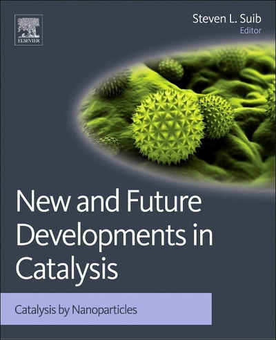 Cover for Steven L Suib · New and Future Developments in Catalysis: Catalysis by Nanoparticles (Hardcover Book) (2013)