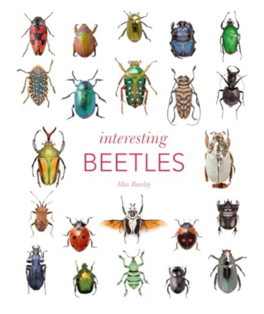 Cover for Max Barclay · Interesting Beetles (Hardcover Book) (2025)