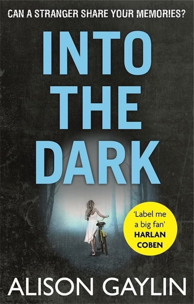 Into the Dark - Brenna Spector - Alison Gaylin - Books - Little, Brown Book Group - 9780751553741 - December 3, 2015