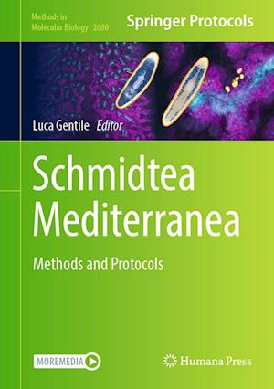 Cover for Luca Gentile · Schmidtea Mediterranea (Book) (2023)