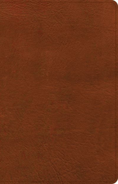 Cover for C. S. B. Bibles CSB Bibles by Holman · CSB Thinline Reference Bible, Burnt Sienna LeatherTouch (Book) (2022)