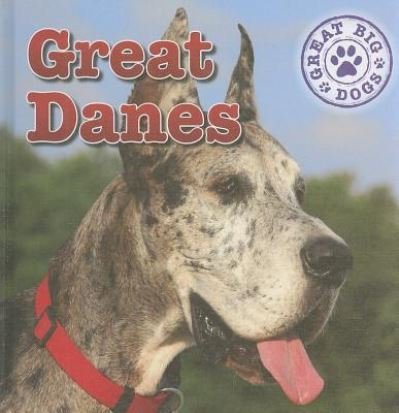 Cover for Kristen Rajczak · Great danes (Book) [1st edition] (2011)