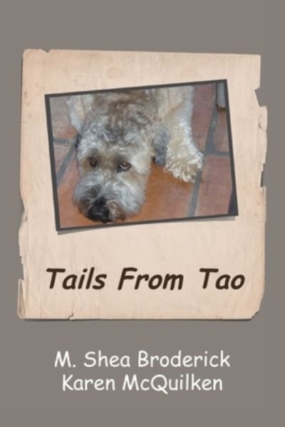 Cover for M Shea Broderick · Tails from Tao (Paperback Book) (2020)