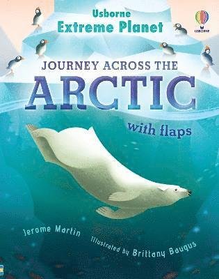 Extreme Planet: Journey Across The Arctic - Extreme Planet - Jerome Martin - Livros - Usborne Publishing Ltd - 9781474998741 - 9 de novembro de 2023