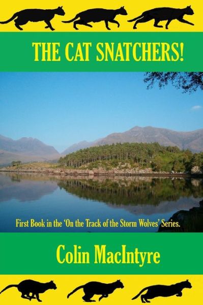 Colin Macintyre · The Cat Snatchers! (Paperback Book) (2013)