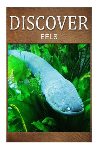 Cover for Discover Press · Eels - Discover: Early Reader's Wildlife Photography Book (Pocketbok) (2014)