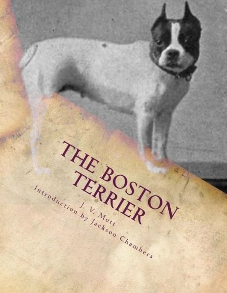 Cover for J V Mott · The Boston Terrier (Paperback Bog) (2015)