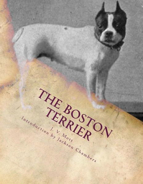 The Boston Terrier - J V Mott - Książki - Createspace - 9781507757741 - 27 stycznia 2015