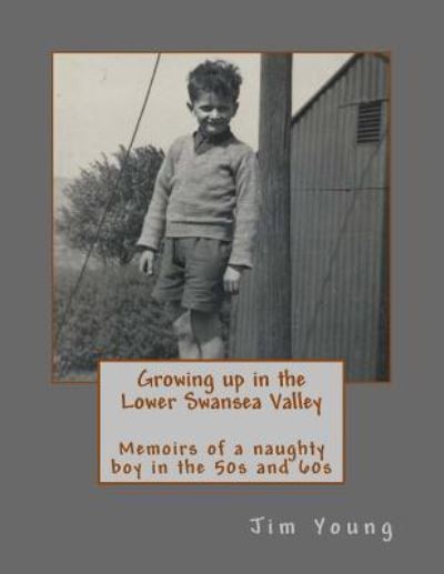 Cover for Jim Young · Growing up in the Lower Swansea Valley (Paperback Book) (2016)