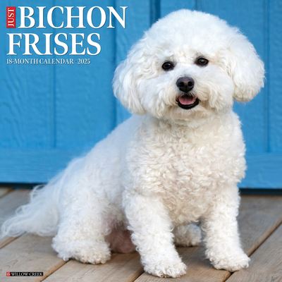 Just Bichons Frises 2025 12 X 12 Wall Calendar - Willow Creek Press - Merchandise - Willow Creek Press Calendars - 9781549241741 - September 10, 2024