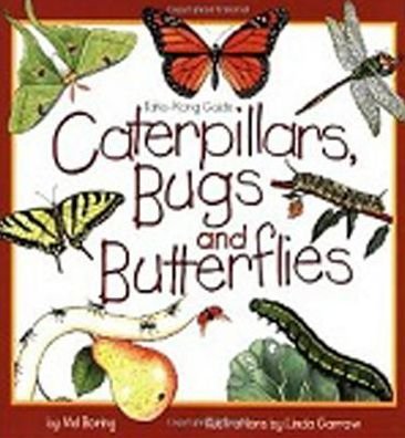 Cover for Mel Boring · Caterpillars, Bugs and Butterflies: Take-Along Guide - Take Along Guides (Pocketbok) (1999)