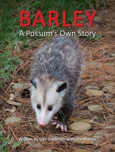 Cover for Gail Diederich · Barley, a Possum's Own Story (Hardcover Book) (2014)