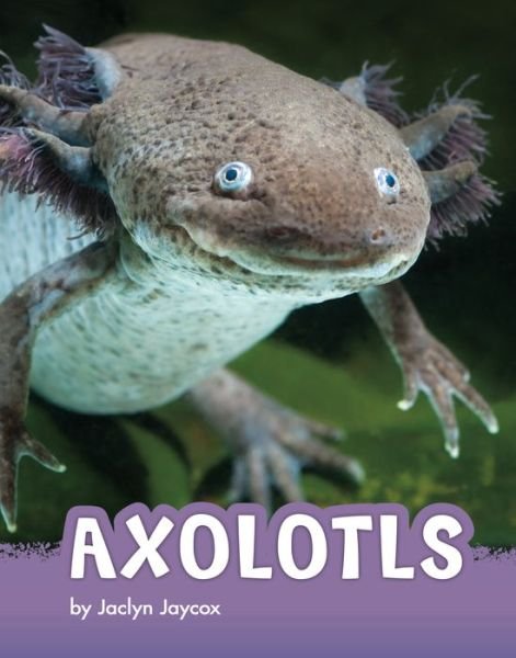 Cover for Jaclyn Jaycox · Axolotls (Gebundenes Buch) (2022)