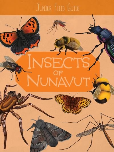 Cover for Jordan Hoffman · Junior Field Guide: Insects of Nunavut: English Edition - Junior Field Guides (Taschenbuch) [English edition] (2021)