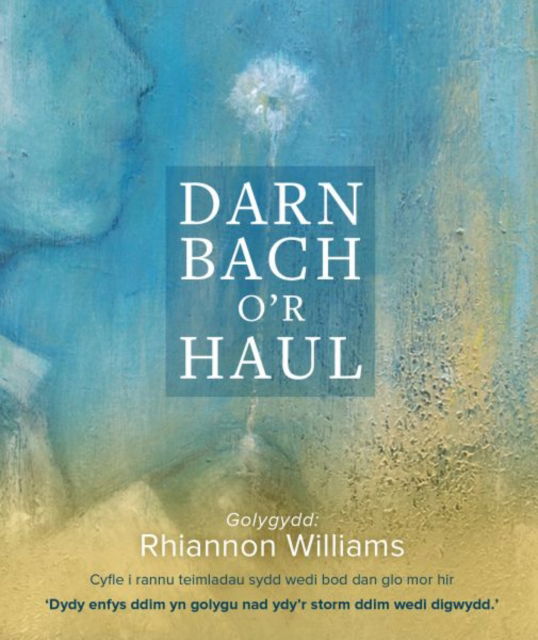Darn Bach o'r Haul - Gwasg y Bwthyn - Books - Gwasg y Bwthyn Cyf - 9781913996741 - July 28, 2023