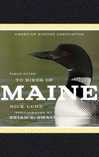 Cover for Nick Lund · American Birding Association Field Guide to Birds of Maine - American Birding Association State Field (Paperback Book) (2022)