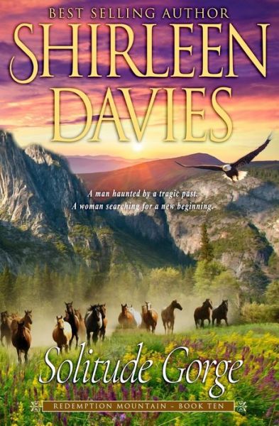 Cover for Shirleen Davies · Solitude Gorge (Paperback Book) (2018)