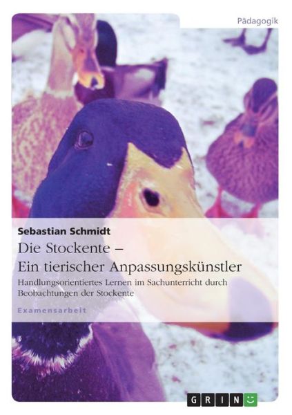 Die Stockente - ein tierischer Anpassungskunstler: Handlungsorientiertes Lernen im Sachunterricht durch Beobachtungen der Stockente - Sebastian Schmidt - Böcker - Grin Verlag - 9783640584741 - 9 april 2010