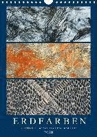 Cover for Frost · Erdfarben - Kunstvolle Formen aus (Bog)