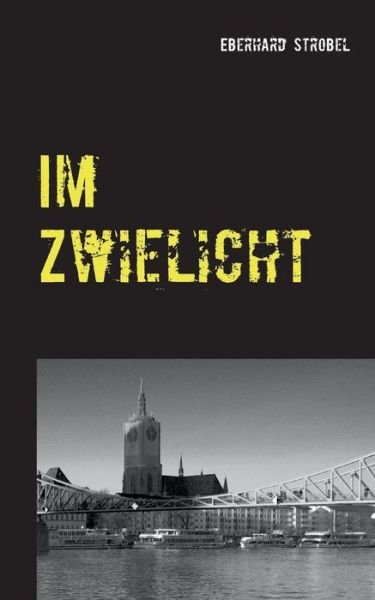 Cover for Strobel · Im Zwielicht (Book) (2017)