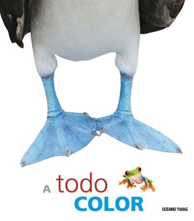 Cover for Varios · A todo color (Taschenbuch) (2010)