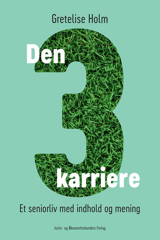 Den tredje karriere - Gretelise Holm - Bøger - Djøf Forlag - 9788757438741 - 28. september 2017