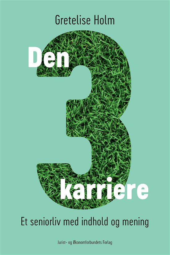 Cover for Gretelise Holm · Den tredje karriere (Sewn Spine Book) [1st edition] (2017)