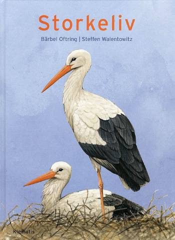 Cover for Steffen Walentowitz · Storkeliv (Bound Book) [1st edition] (2008)