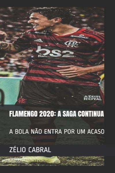 Cover for Zelio Cabral · Flamengo 2020: A Saga Continua: A Bola Nao Entra Por Um Acaso (Paperback Book) (2021)