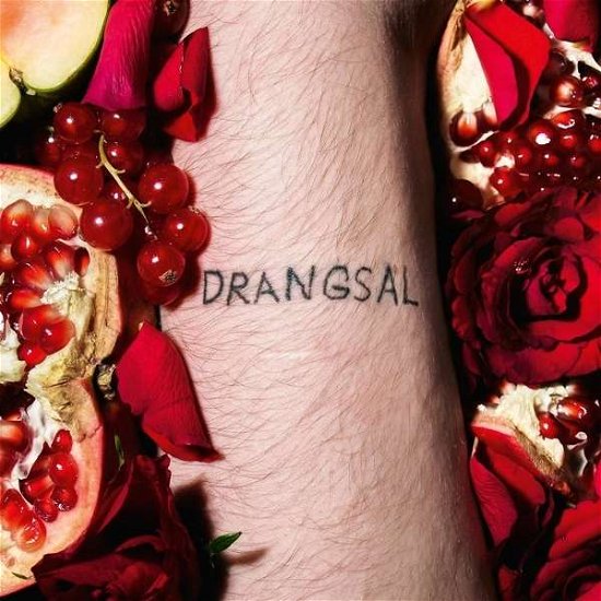 Cover for Drangsal · Harieschaim (LP) (2016)