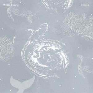 Cover for Cicada · White Forest (CD) [Japan Import edition] (2021)