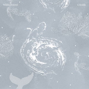 White Forest - Cicada - Musique - JPT - 4582237837742 - 16 juillet 2021