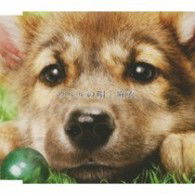 Cover for Mai · Ululu No Uta (CD) [Japan Import edition] (2009)