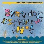 Cover for Last Skeptic · Same Day Different Shit (CD) (2010)