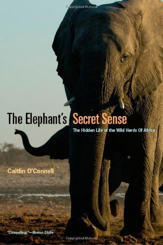 Cover for Caitlin O`connell · The Elephant's Secret Sense – The Hidden Life of the Wild Herds of Africa (Taschenbuch) [Reprint edition] (2008)