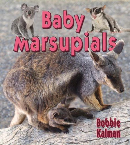 Cover for Bobbie Kalman · Baby Marsupials (It's Fun to Learn About Baby Animals) (Hardcover Book) (2012)