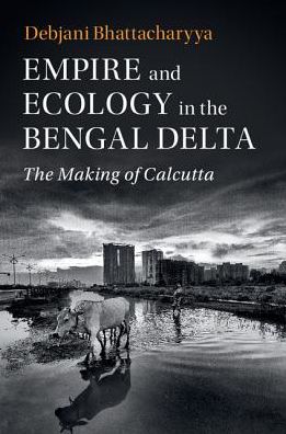 Cover for Bhattacharyya, Debjani (Drexel University, Philadelphia) · Empire and Ecology in the Bengal Delta: The Making of Calcutta - Studies in Environment and History (Hardcover Book) (2018)