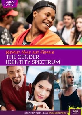 Cover for Anita R Walker · Beyond Male and Female: The Gender Identity Spectrum - LGBTQ Life (Hardcover Book) (2019)