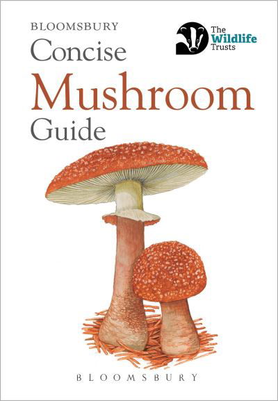 Cover for Bloomsbury · Concise Mushroom Guide (N/A) (2014)