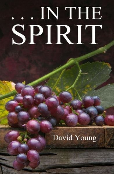 Cover for David Young · . . . in the Spirit (Paperback Book) (2012)