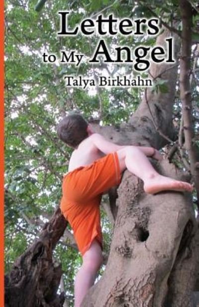 Cover for Talya Birkhahn · Letters to My Angel : Happy Children in a Sensory World (Paperback Book) (2016)