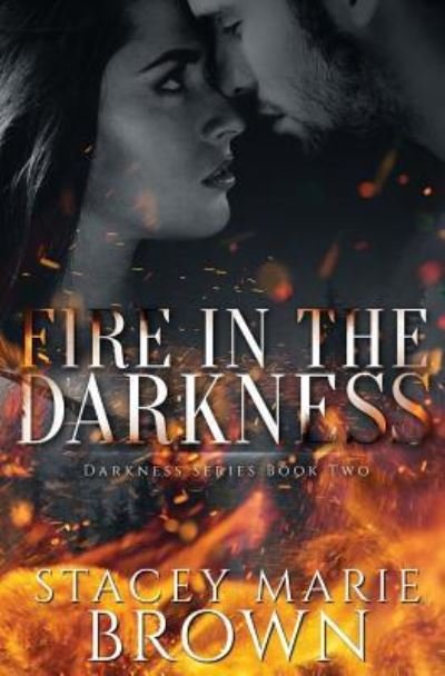 Cover for Stacey Marie Brown · Fire in the Darkness (Darkness Series) (Book) (2017)