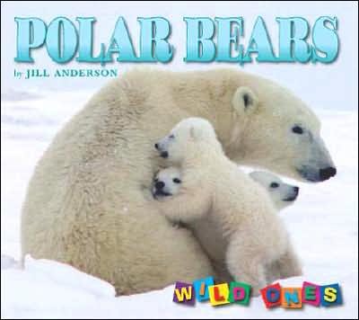 Cover for Jill Anderson · Polar Bears - Wild Ones (Innbunden bok) (2007)