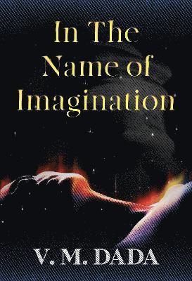 Cover for V. M. Dada · In the Name of Imagination (Paperback Book) (2024)