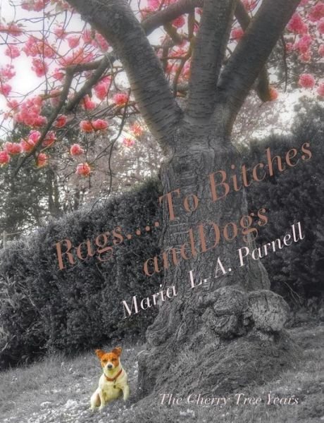 Cover for Maria Parnell · Rags ....to Bitches and Dogs: the Cherry Tree Years, Volume II (Taschenbuch) (2014)