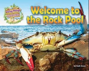 Cover for Ruth Owen · Welcome to the Rock Pool - Living Things and Their Habitats (Taschenbuch) (2016)